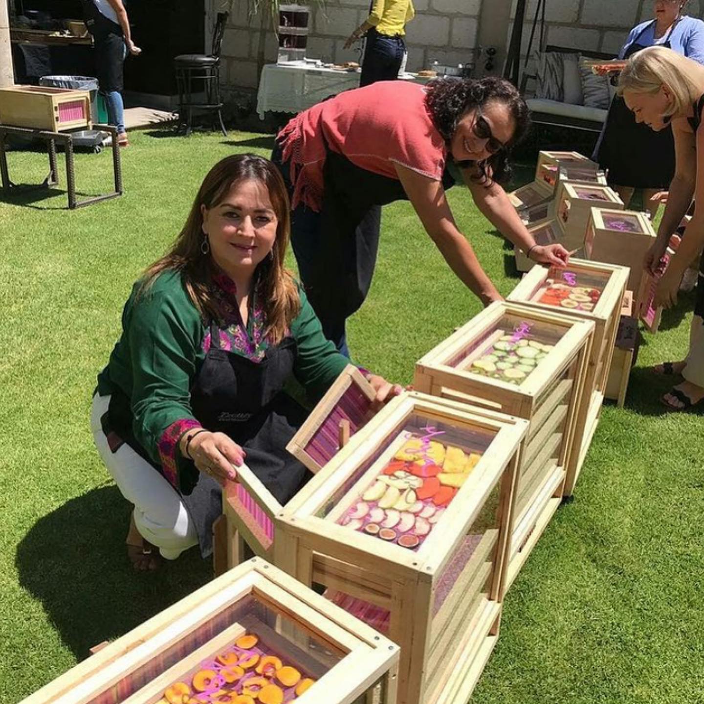 Talleres de Tzenzontle deshidratadores solares