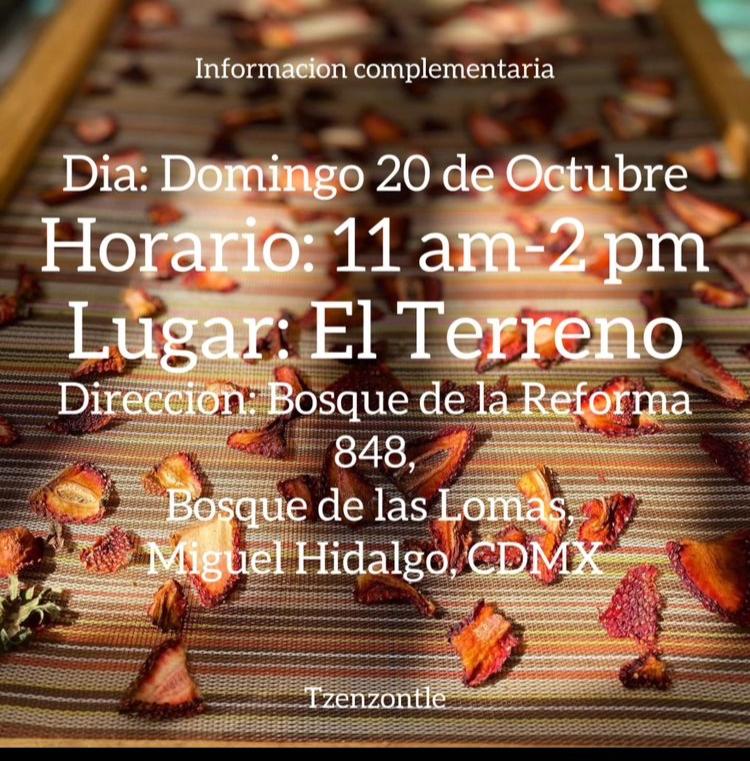 Taller Presencial en CDMX