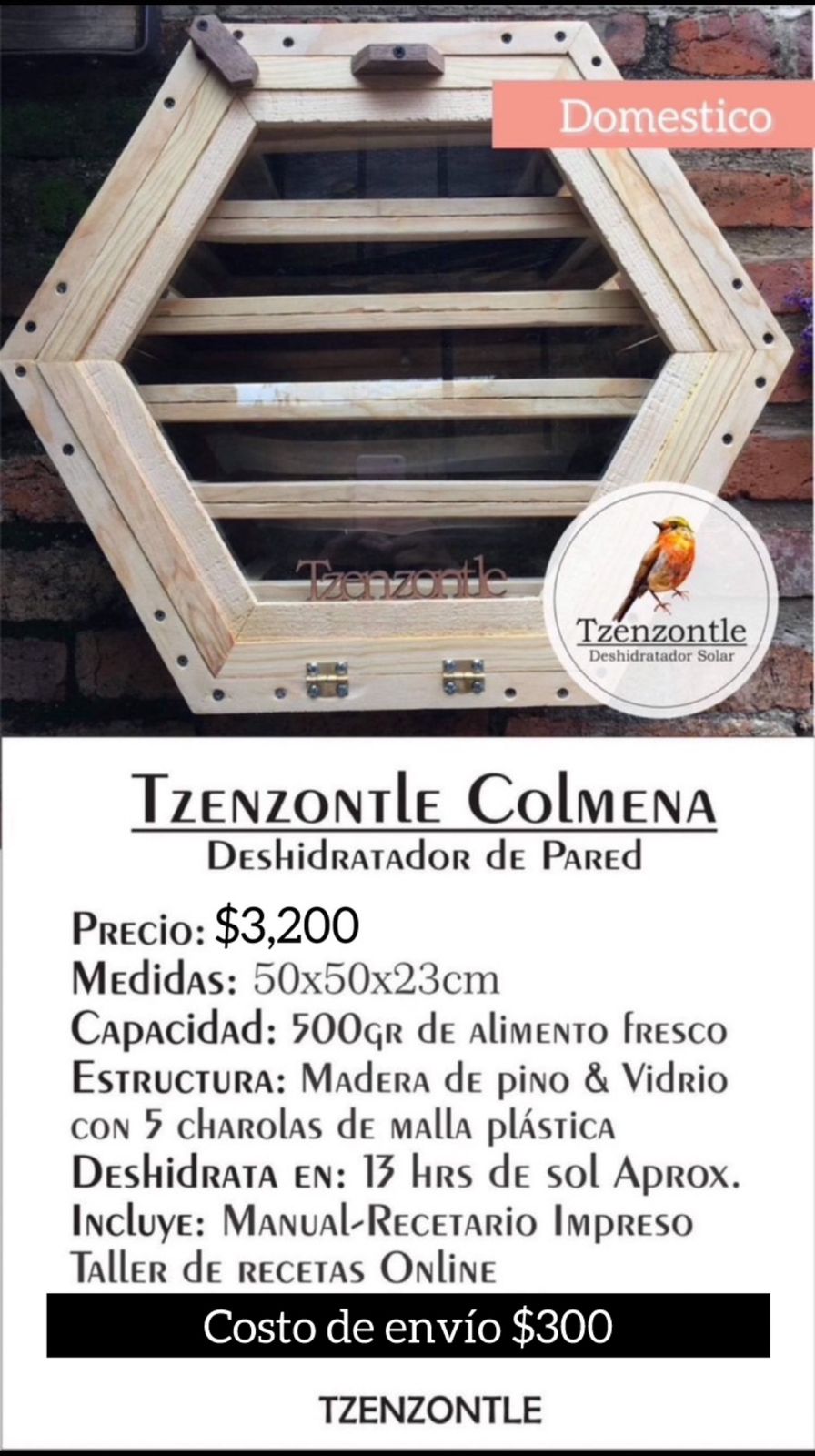 Tzenzontle Colmena