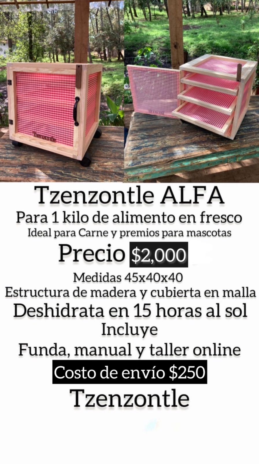 Tzenzontle Alfa