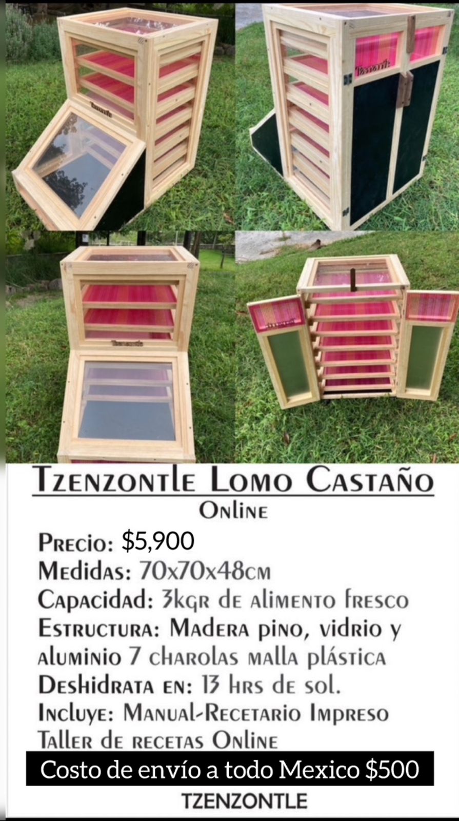 Tzenzontle Lomo Castaño