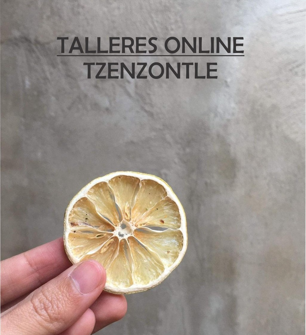 Taller de Deshidratación de alimentos