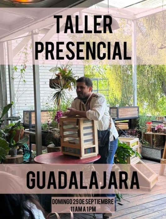 Taller Presencial en Guadalajara