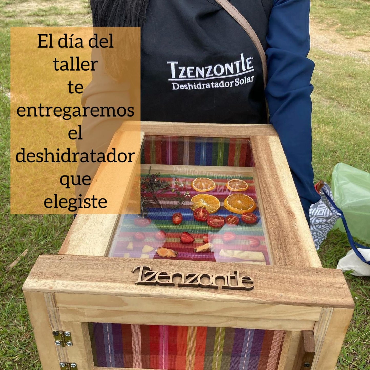 Taller Presencial en Guadalajara