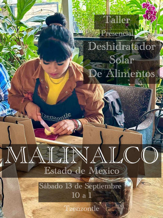 📍 Taller Presencial – Malinalco, Edo. de México
