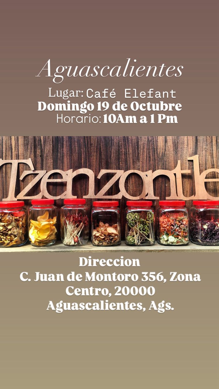 Taller Presencial en Aguascalientes