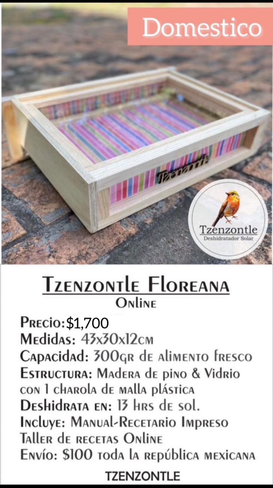 Tzenzontle Floreana