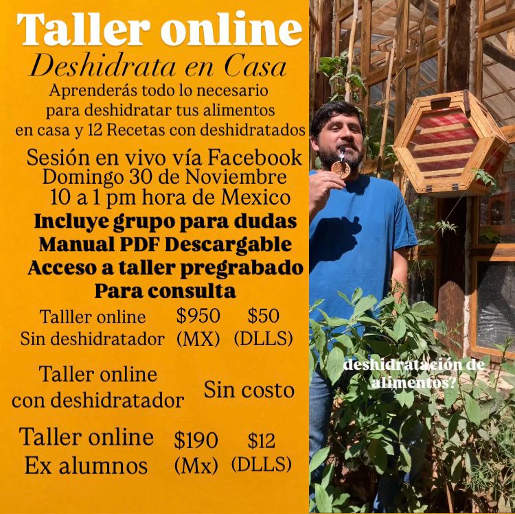 Taller online Deshidrata en Casa